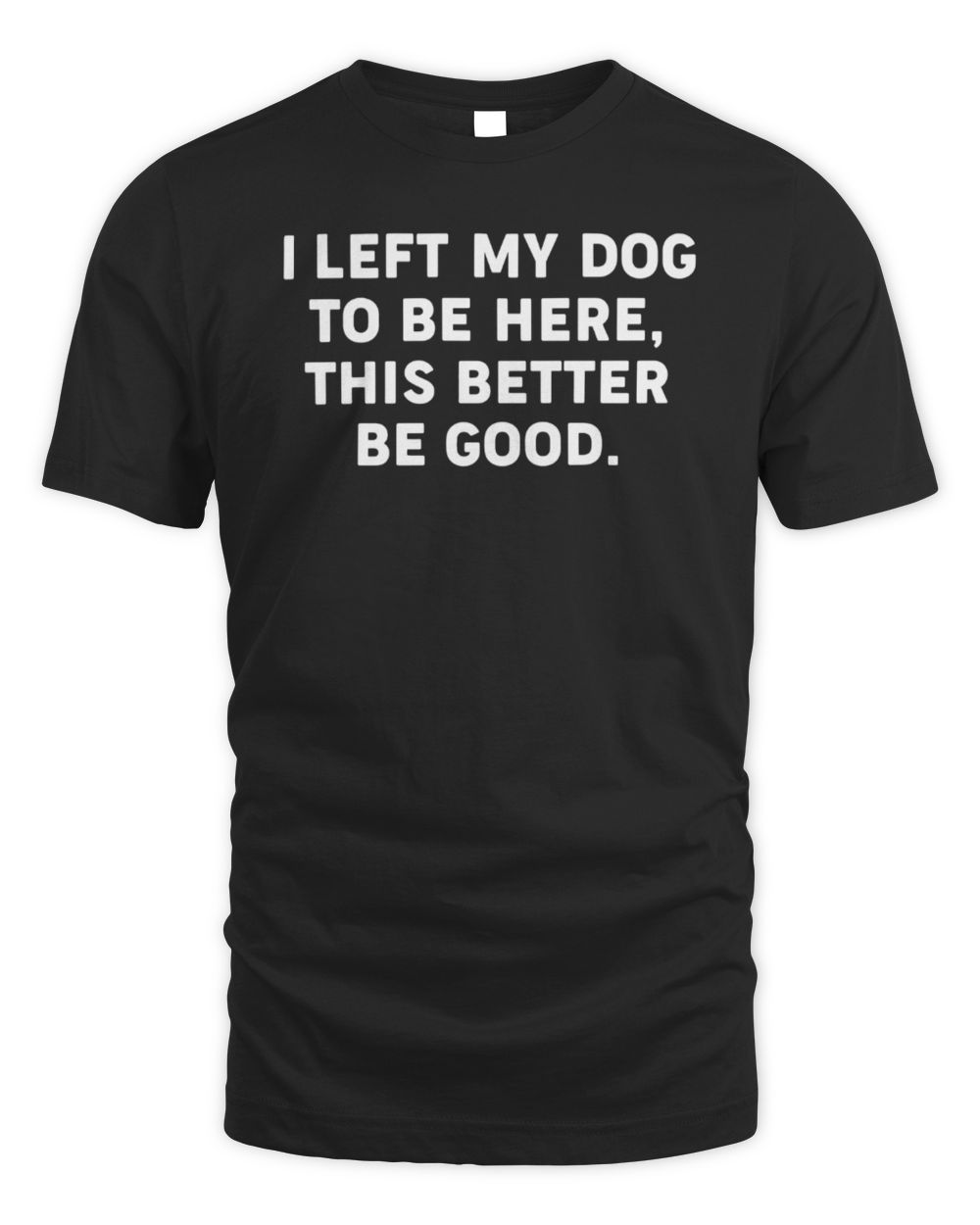 I Left My Dog To Be Here This Better Be Good Tee