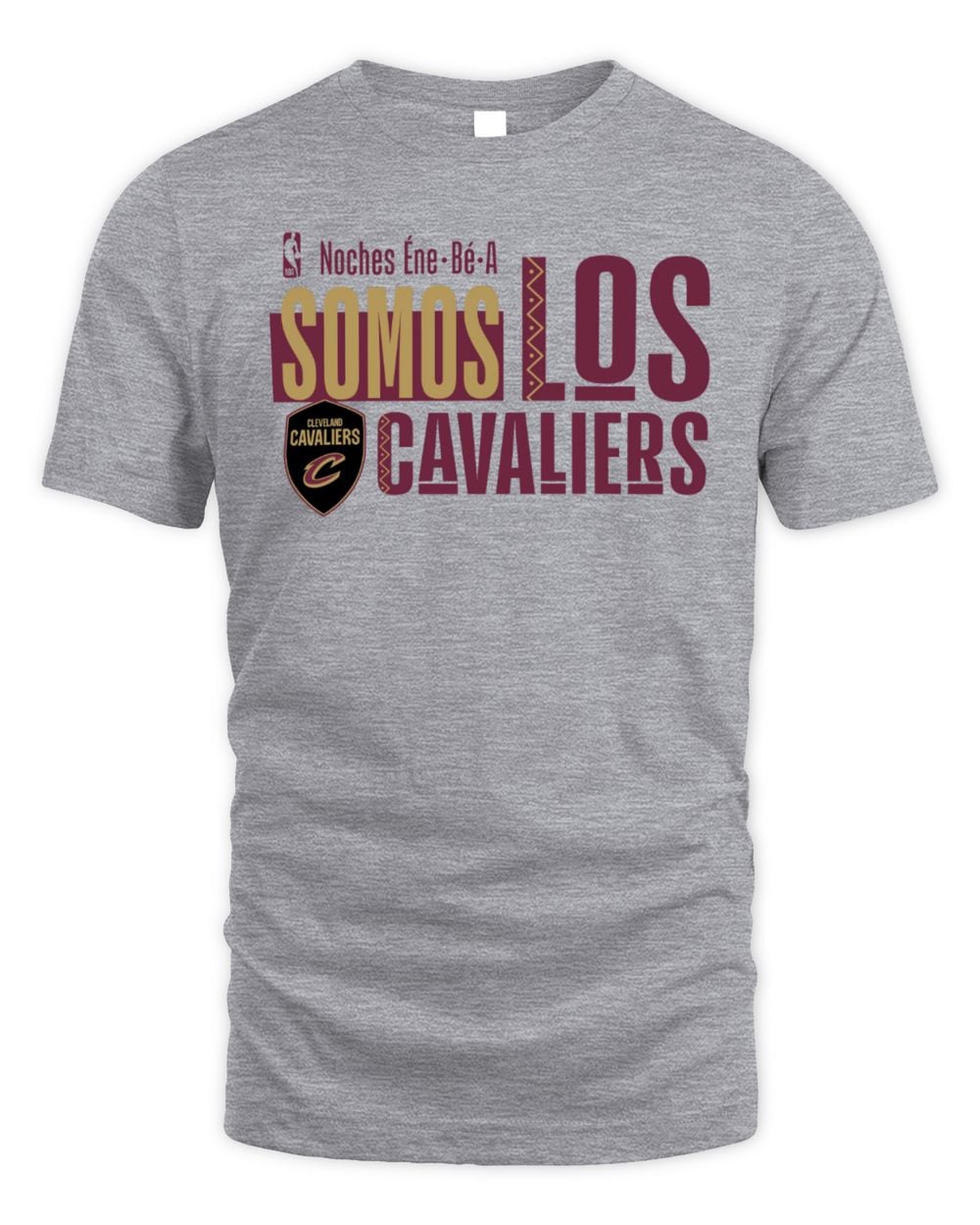 Men's Gray Cleveland Cavaliers Noches Training T-Shirt