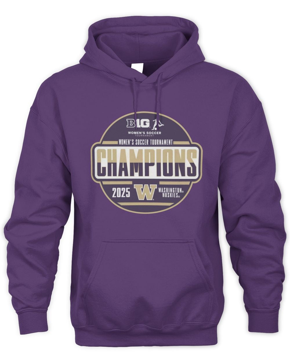 Men's Blue 84 Purple Washington Huskies 2025 Big Ten Women's Soccer Tournament Champions Locker Room Hoodie Sweatshirt