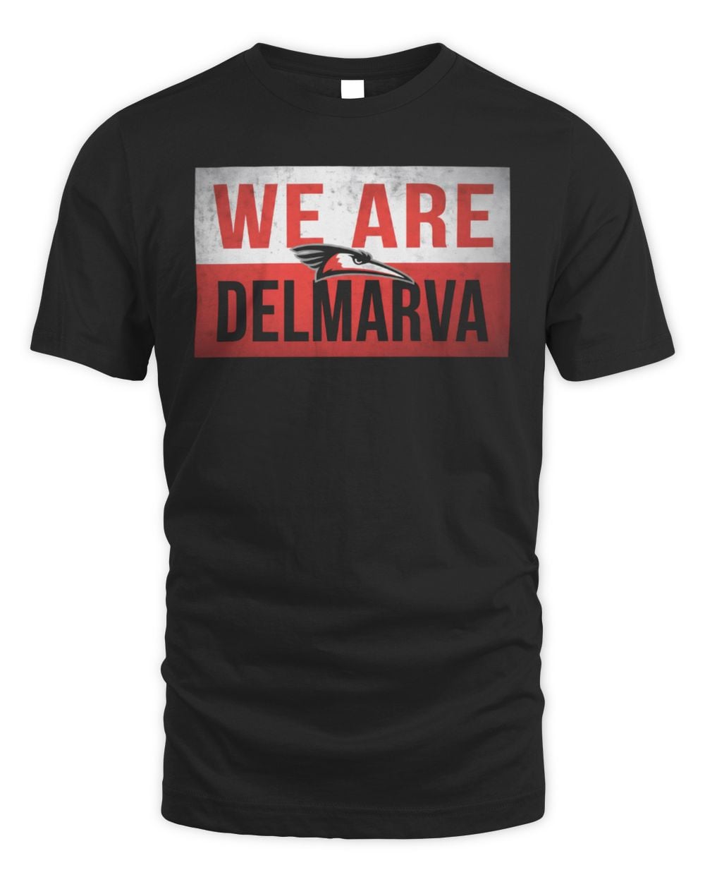 Delmarva Shorebirds 108 Stitches We Are Tee