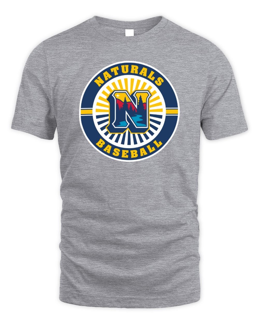 Northwest Arkansas Naturals Circle T-Shirt Grey