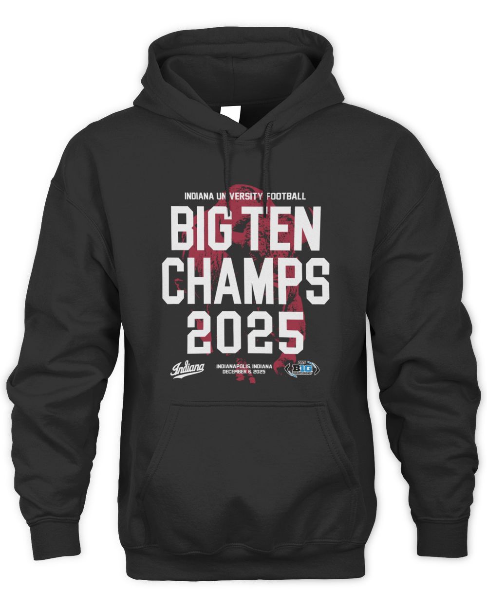 Indiana 2025 Big Ten Champs Bison Hoodie Sweatshirt