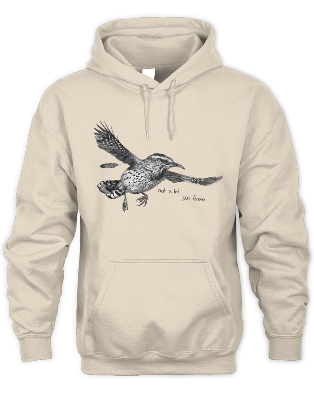 Big Thief Not A Lot Just Forever Hoodie