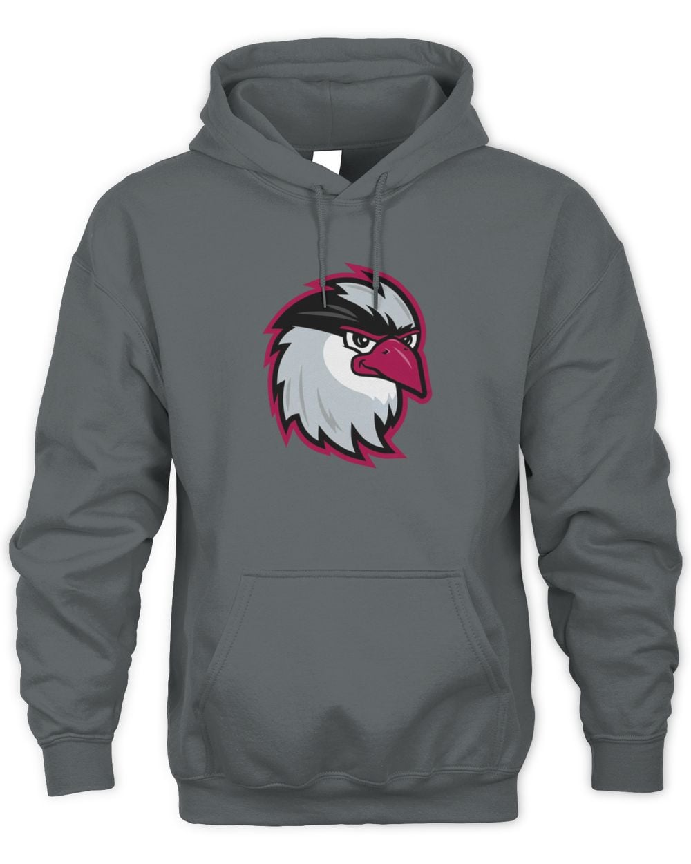 Idaho Falls Chukars Grey Logo Hoodie Sweatshirt