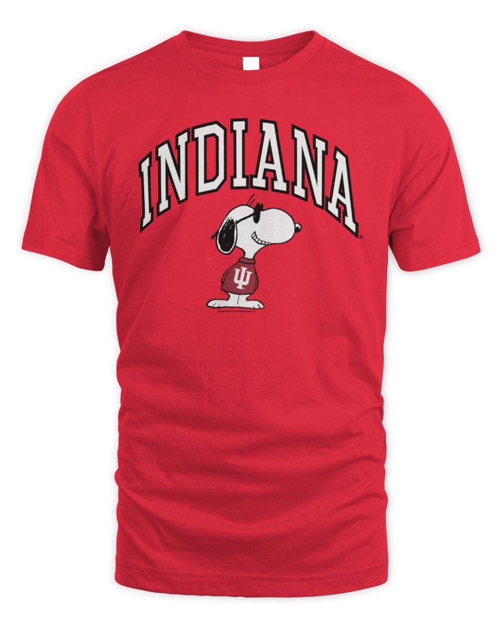 Peanuts x Indiana Joe College Tee