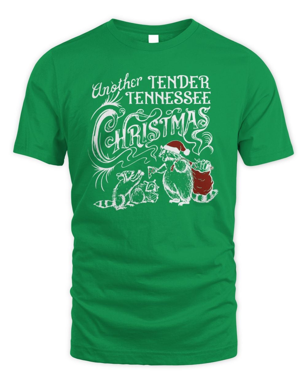 Nothing Too Fancy Raccoon Santa T-Shirt Green