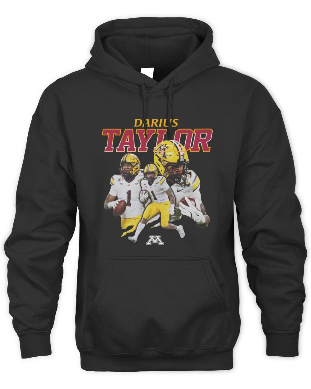 Darius Taylor Minnesota Golden Gophers Unisex NIL Collage Hoodie Sweatshirt