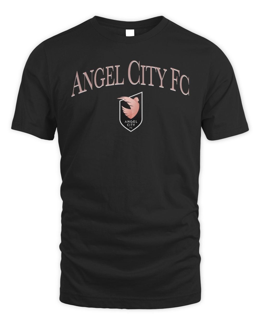 Men's 500 Level Black Angel City FC Team Arch Name Graphic T-Shirt