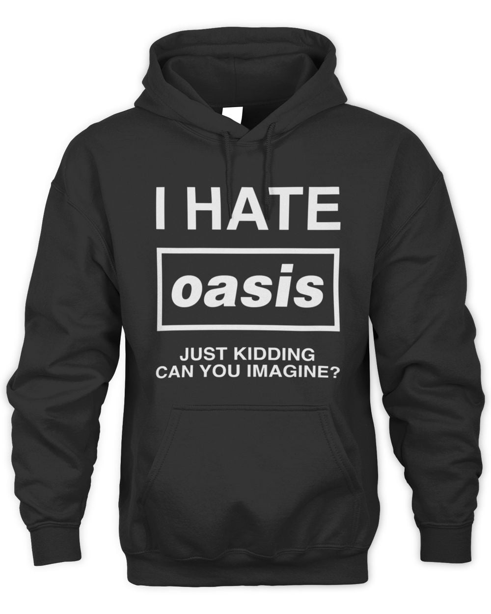 I Hate Band Just Kidding Can You Imagine? Hoodie Sweatshirt