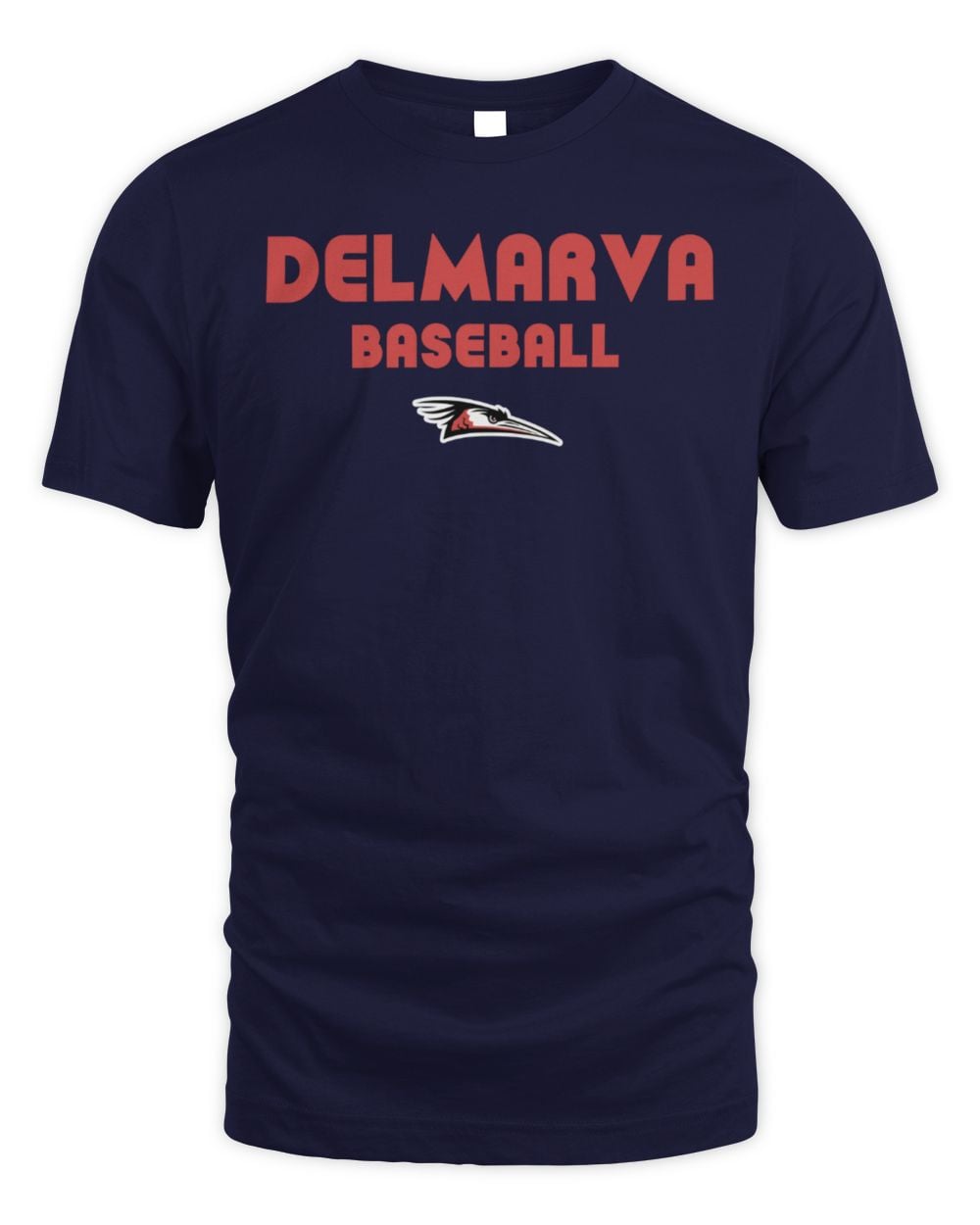 Delmarva Shorebirds 108 Stitches Spiral Tee