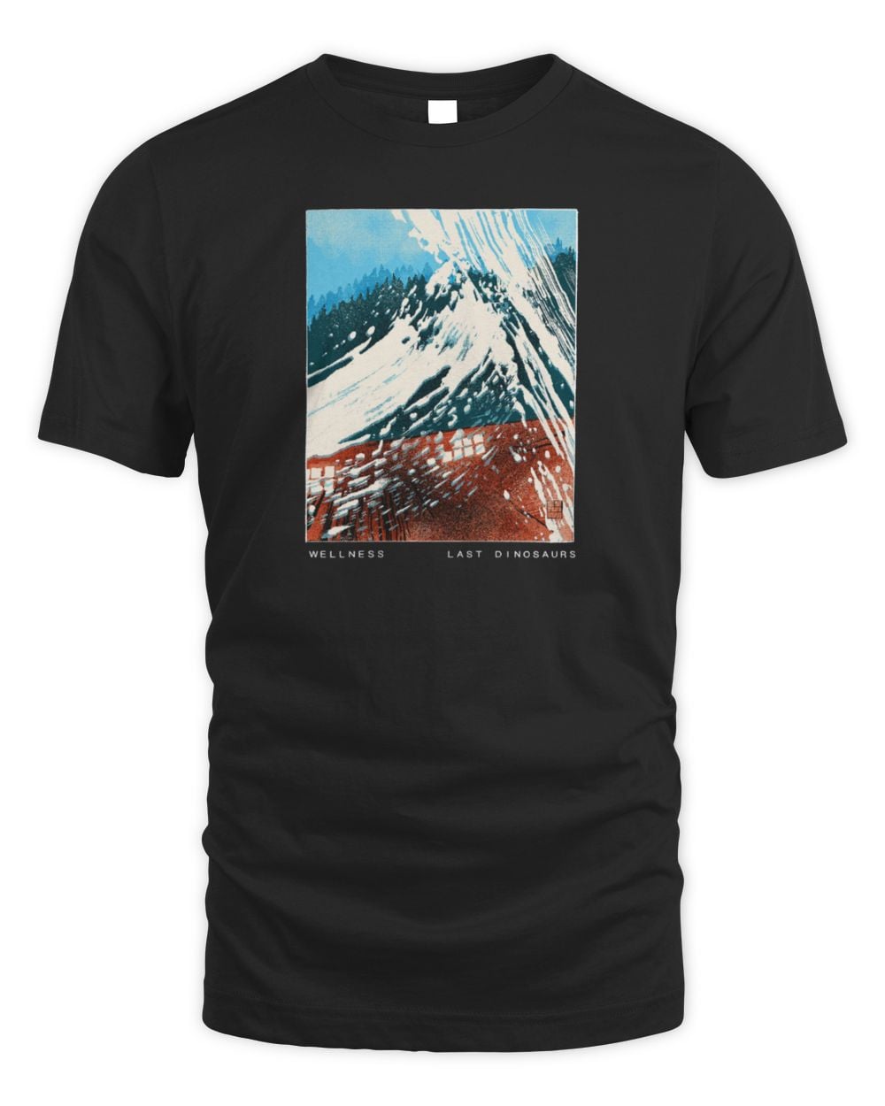 Last Dinosaurs Wellness Faded Black Shirts