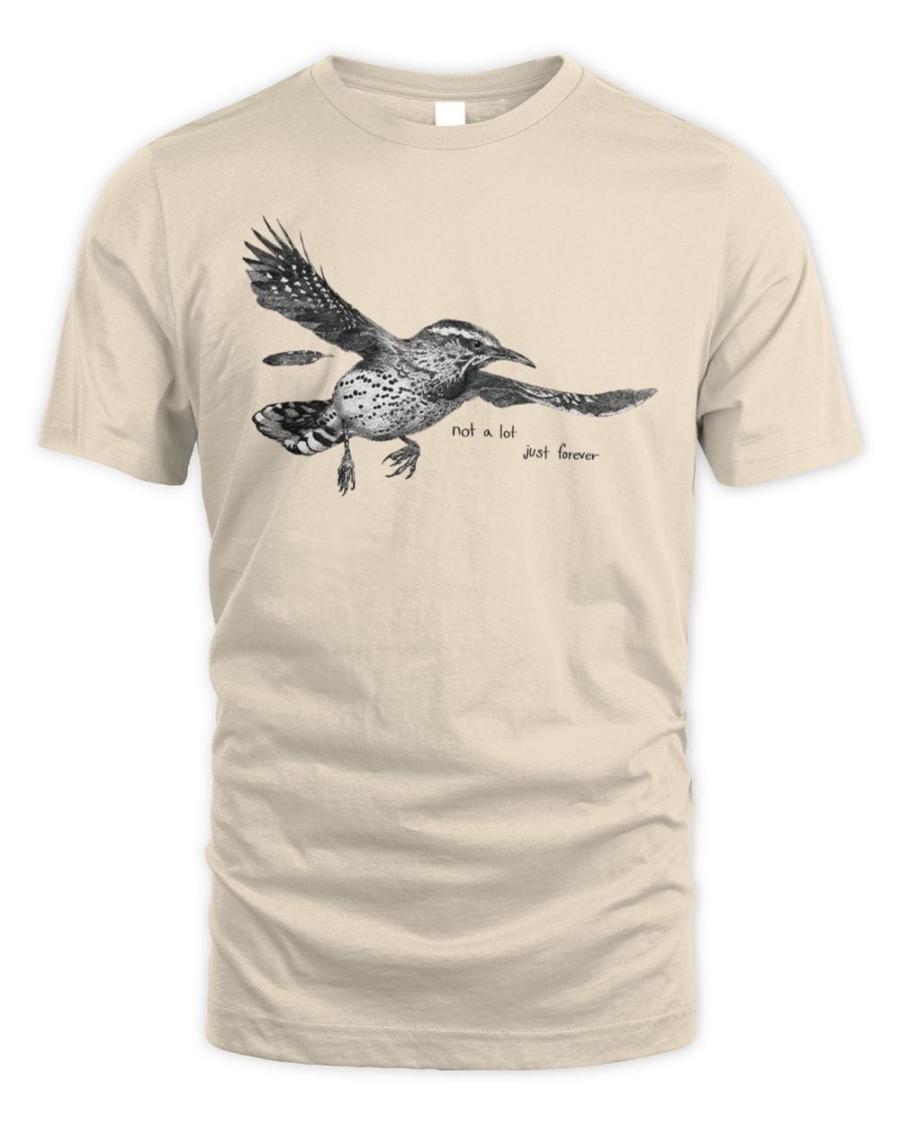 Big Thief Not A Lot Just Forever T-Shirt