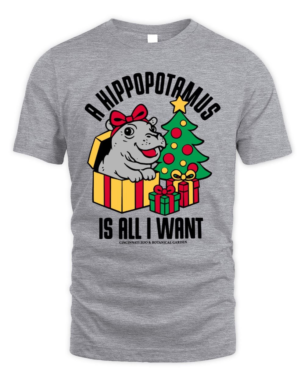 Cincy Shirts Shop A Hippopotamus Is All I Want T-Shirt