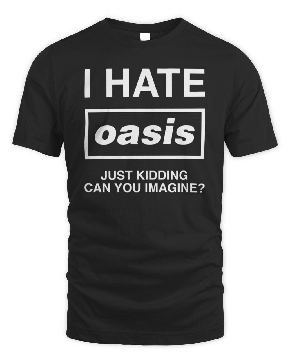 I Hate Band Just Kidding Can You Imagine? Tee Shirt