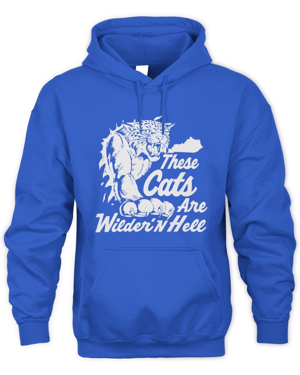 Kentucky For Kentucky Store These Cats Are Wilder'n Hell Official Hoodie