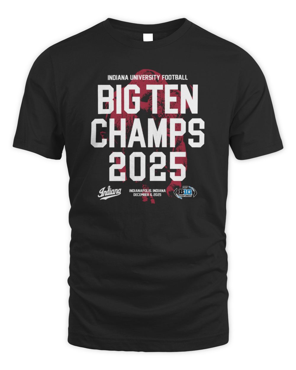 Indiana 2025 Big Ten Champs Bison Tee