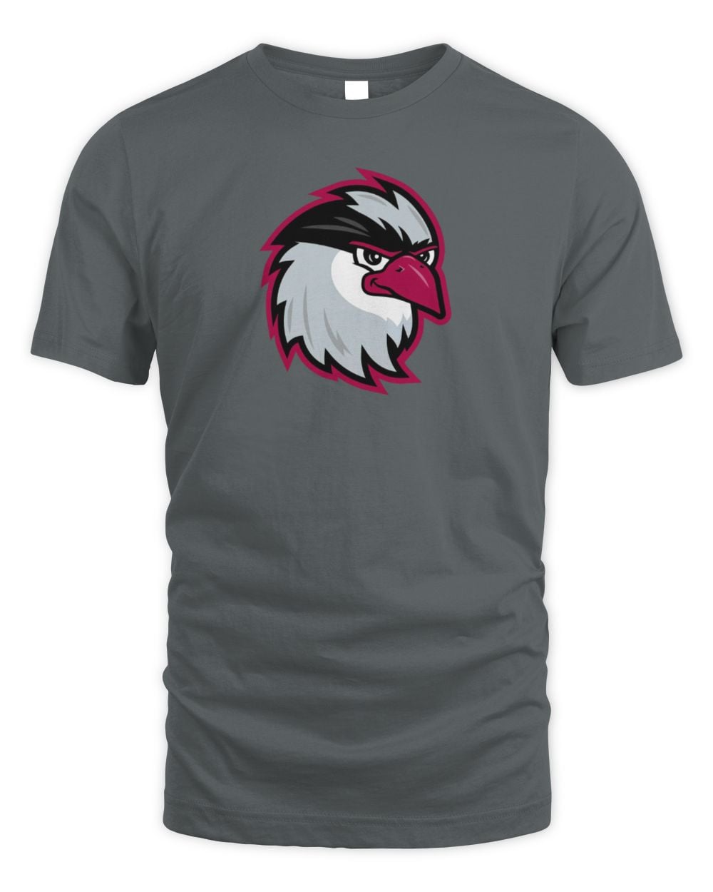 Idaho Falls Chukars Grey Logo T-Shirt