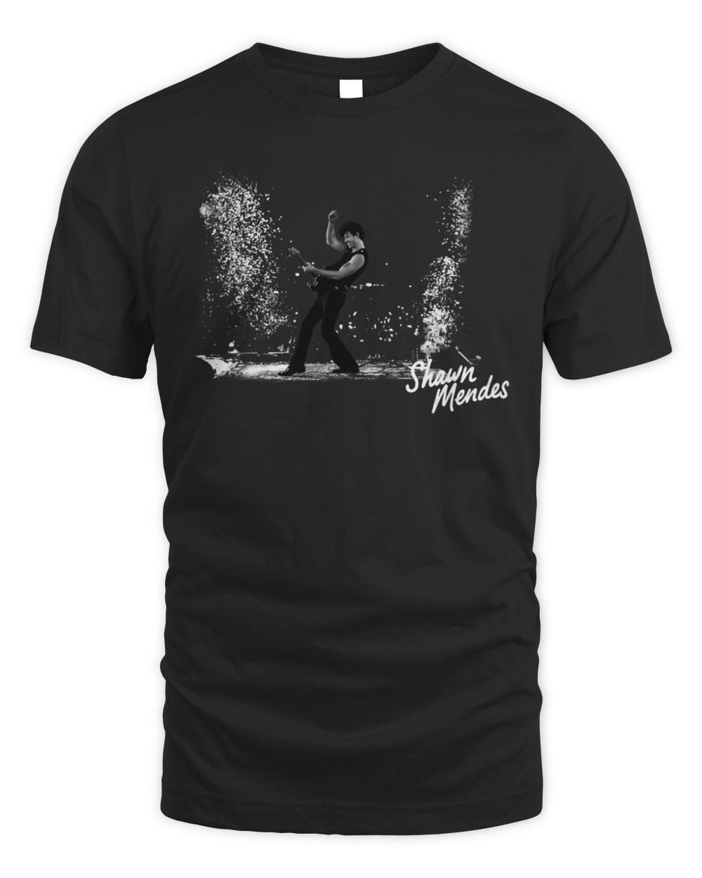 Shawn Mendes Stage Photo Otra Tee