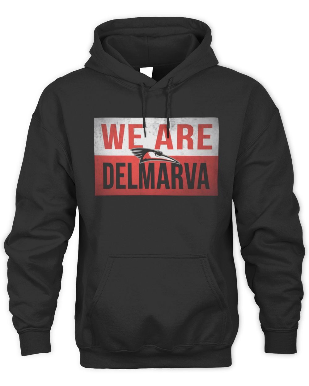 Delmarva Shorebirds 108 Stitches We Are Hoodie Sweatshirt