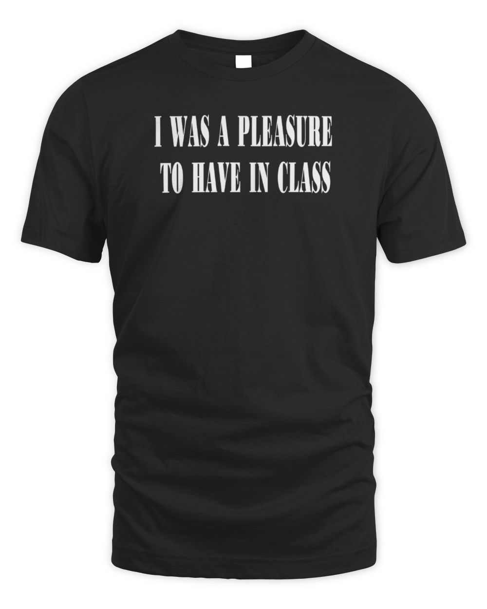 Nia Wyn I Was A Pleasure To Have In Class T-Shirt