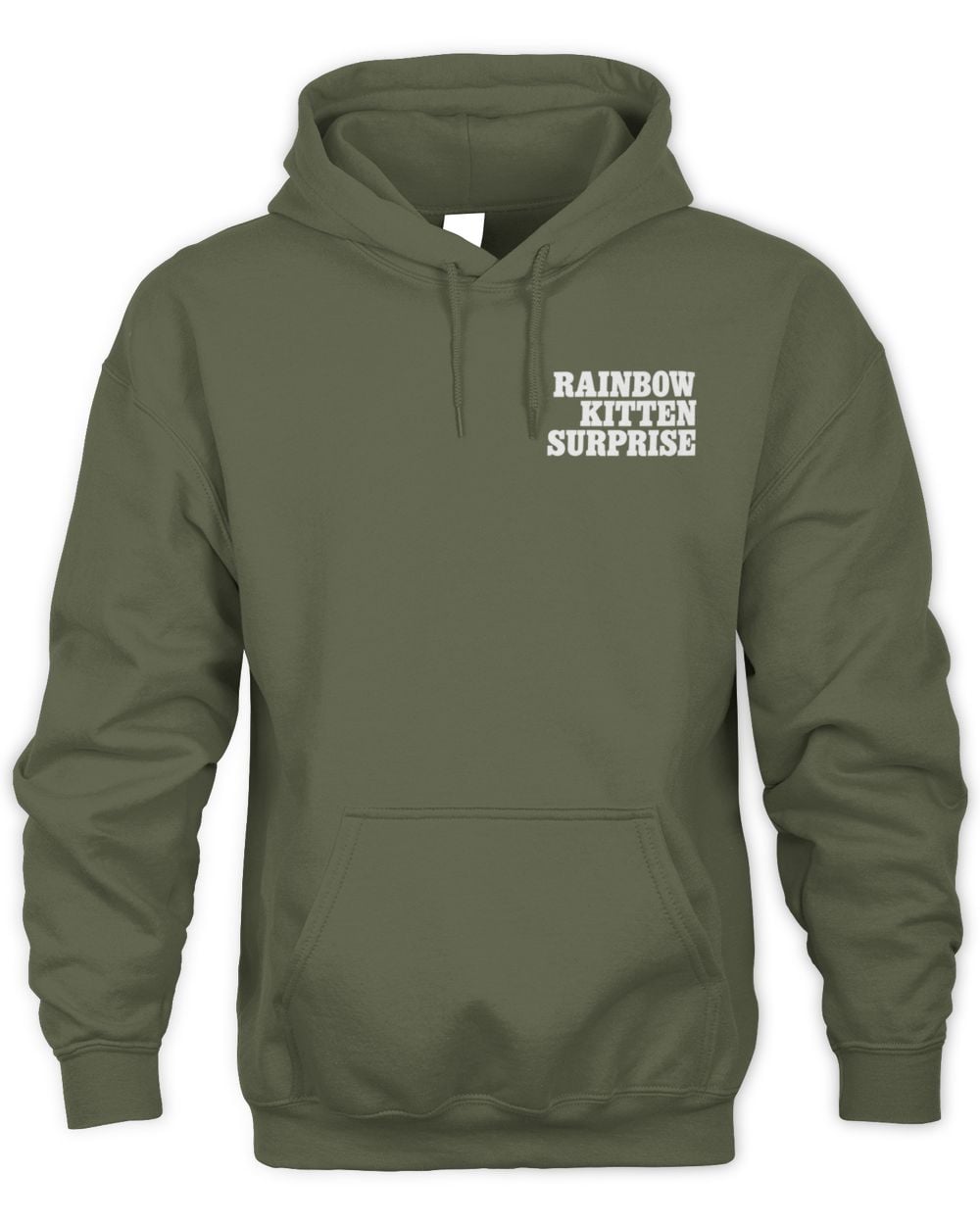 Rainbow Kitten Surprise Thanks For Coming 2025 Tour Hoodie