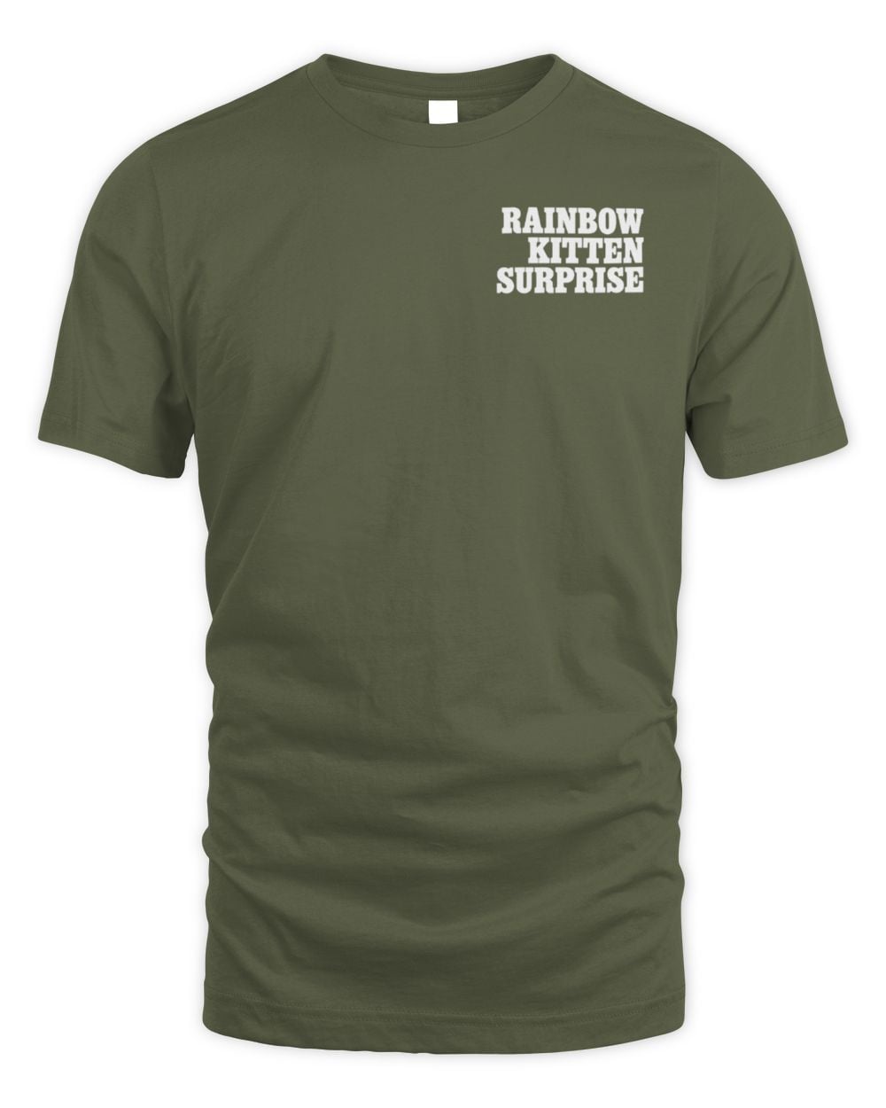 Rainbow Kitten Surprise Thanks For Coming 2025 Tour Official T Shirt